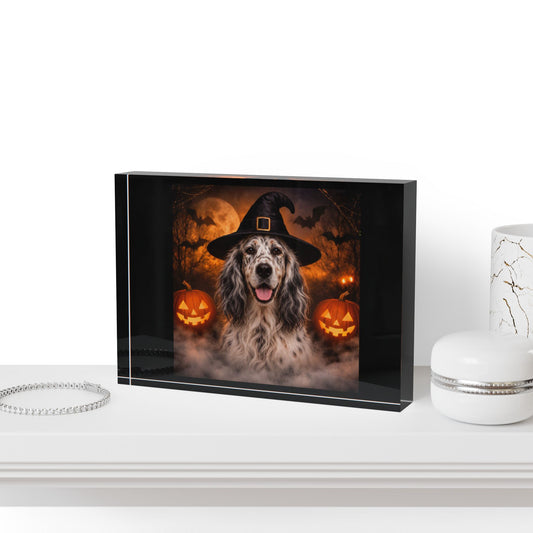 Witch Hat Pack English Setter Acrylic Photo Block