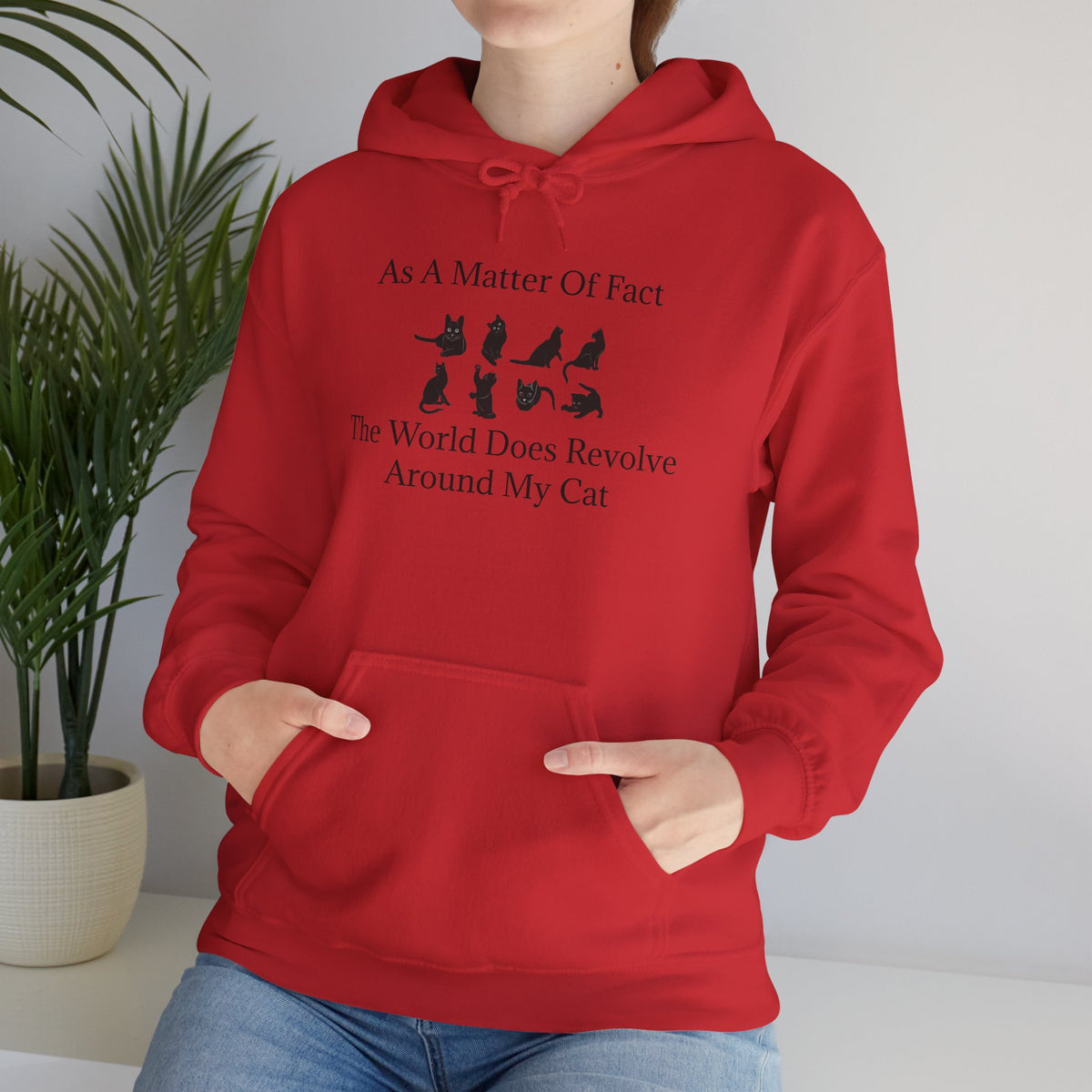 Matter Of Fact Cat Unisex Hoodie