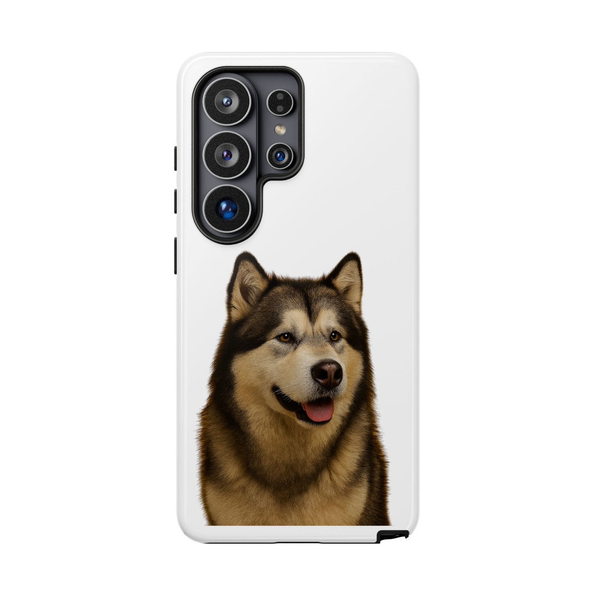 Malamute Head Samsung Case