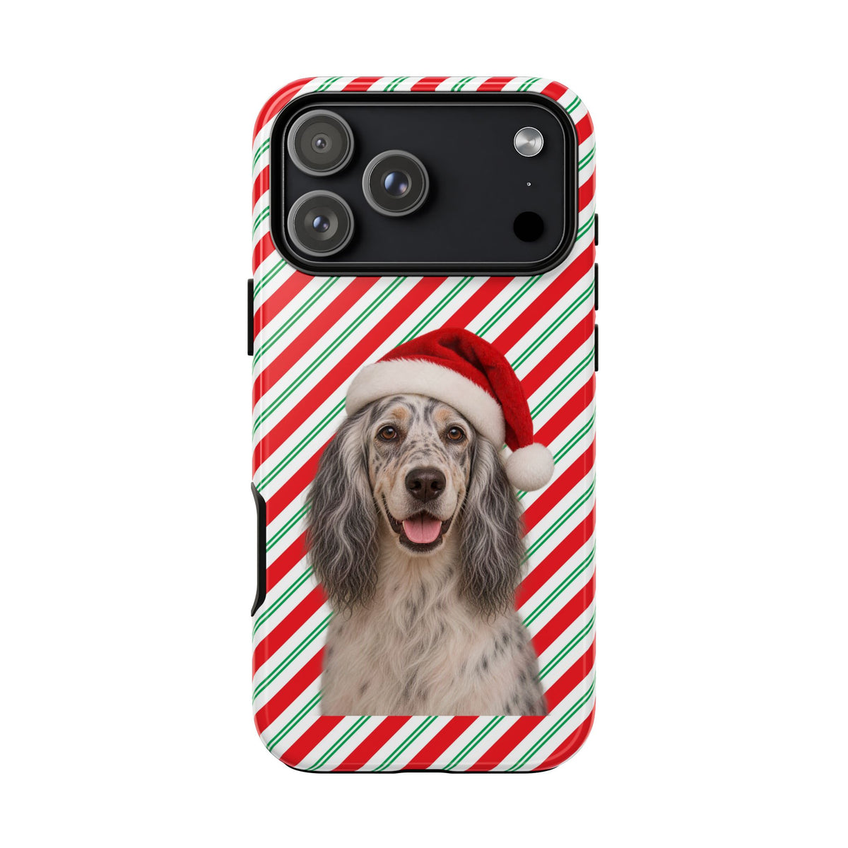 Santa Paws English Setter iPhone Case