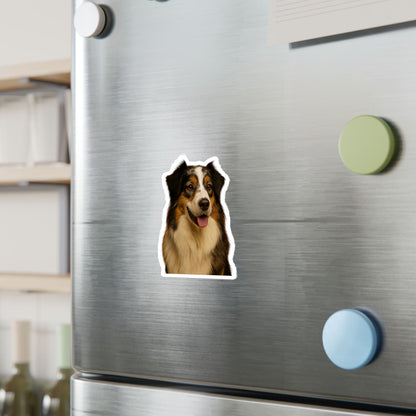 Aussie Head Vinyl Decal
