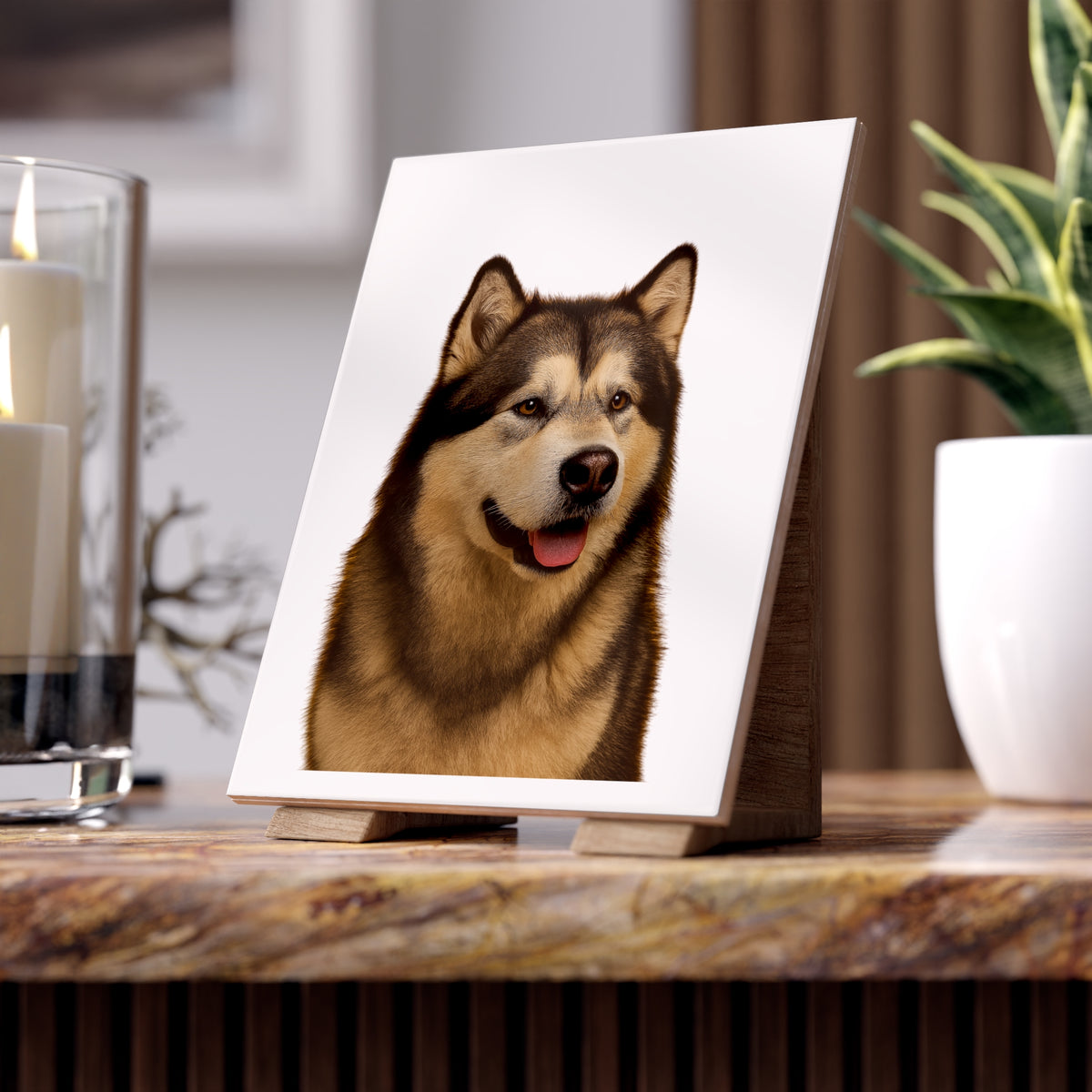 Malamute Head Ceramic Photo Tile