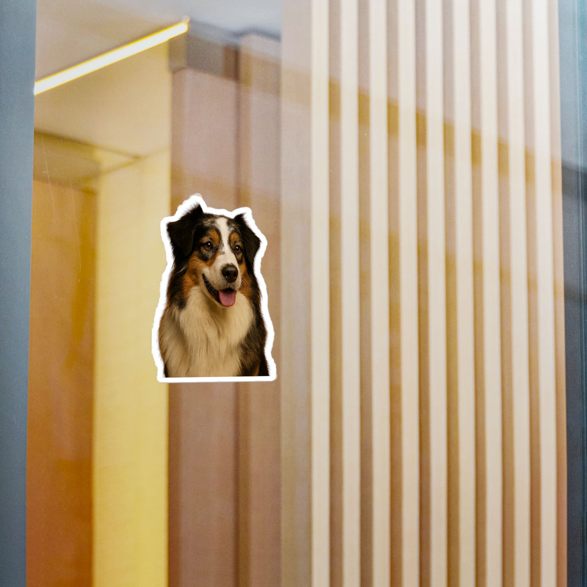Aussie Head Vinyl Decal