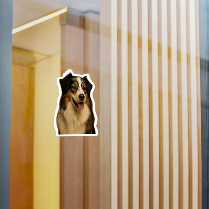 Aussie Head Vinyl Decal