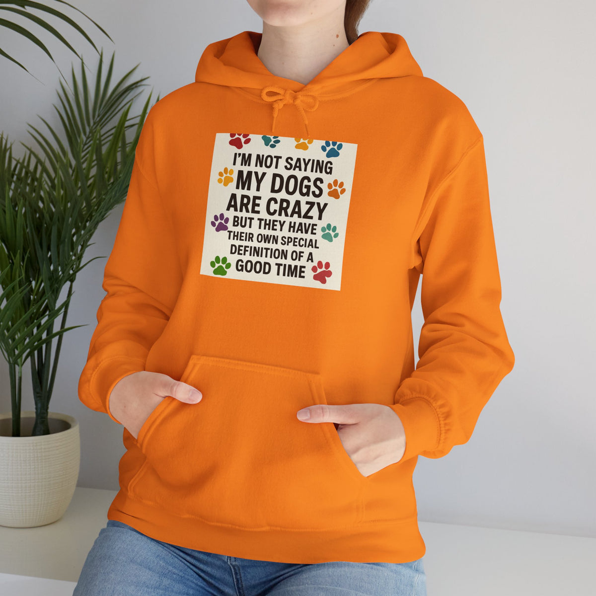 Special Definition Unisex Hoodie