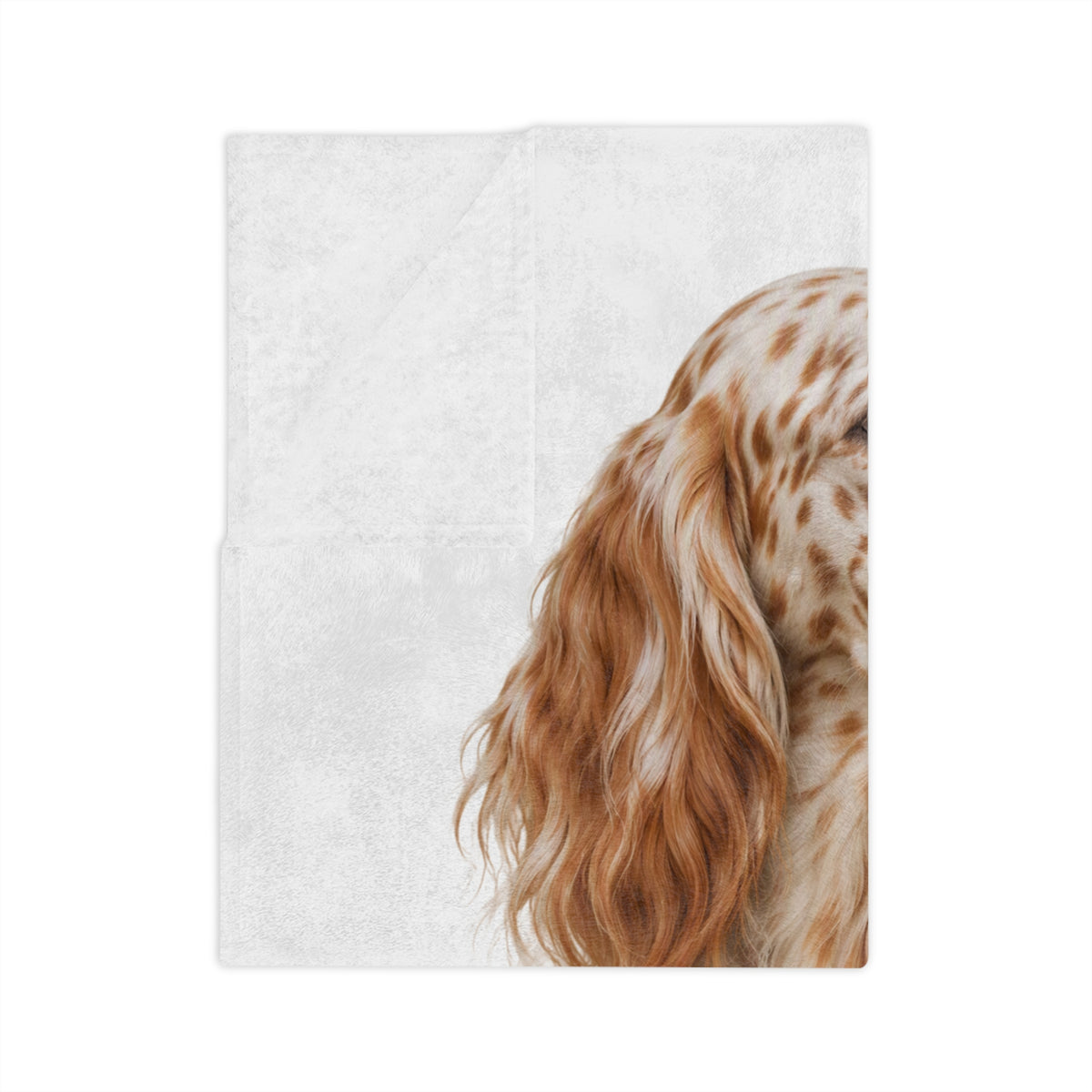 English Setter Head Velveteen Microfiber Blanket