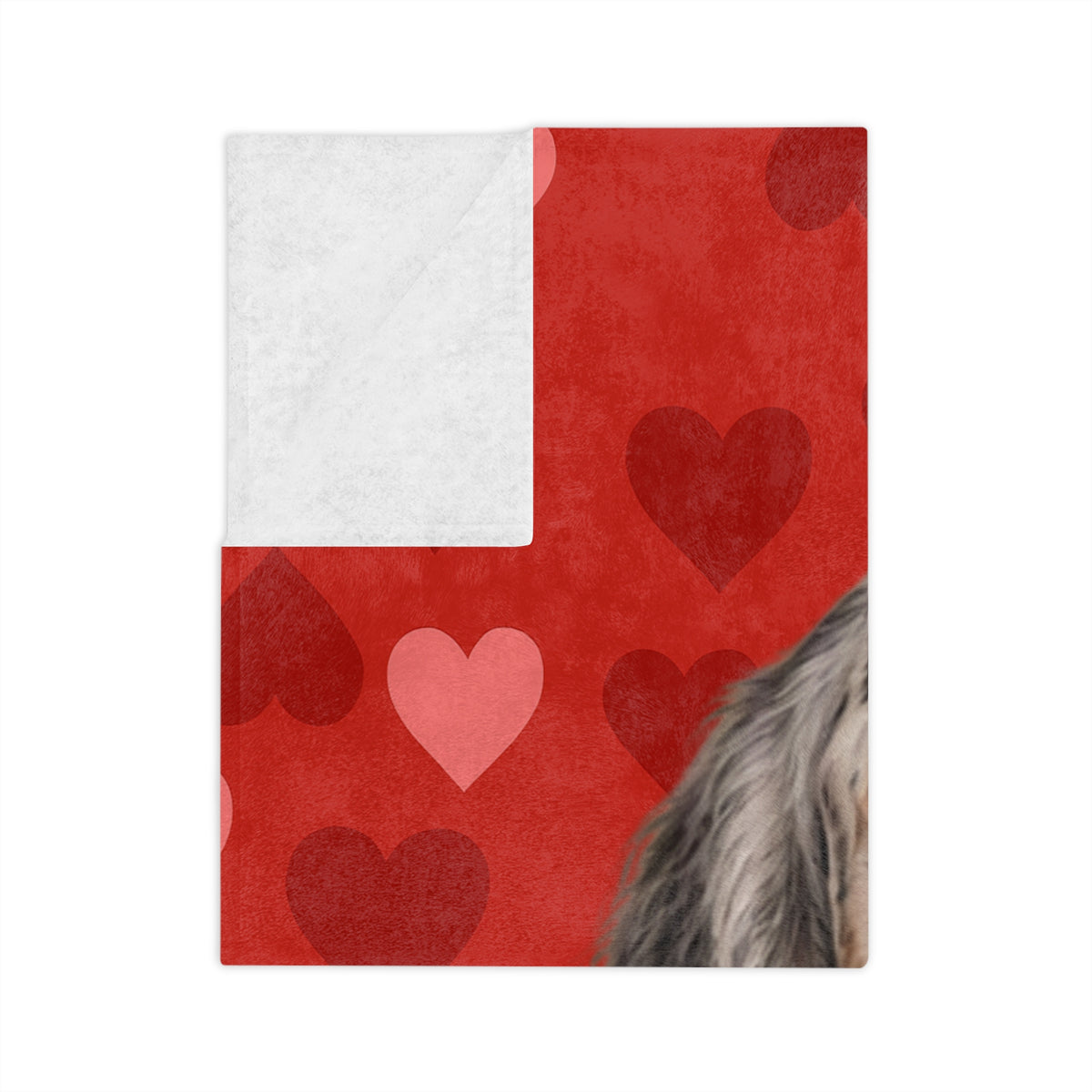 Cupid's Companion English Setter Velveteen Microfiber Blanket