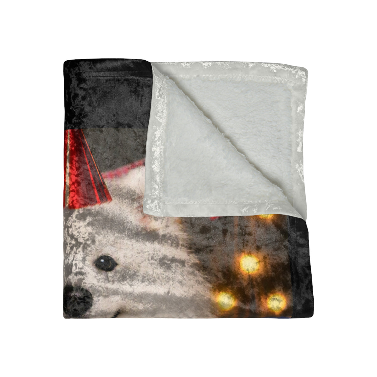 Birthday Buddy Samoyed Crushed Velvet Blanket