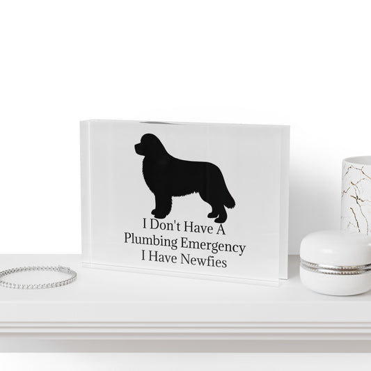 Plumbing Emergency Acrylic Photo Block